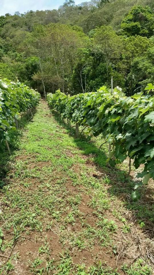 Mineira Sitio Quebello Hospedagem domiciliar